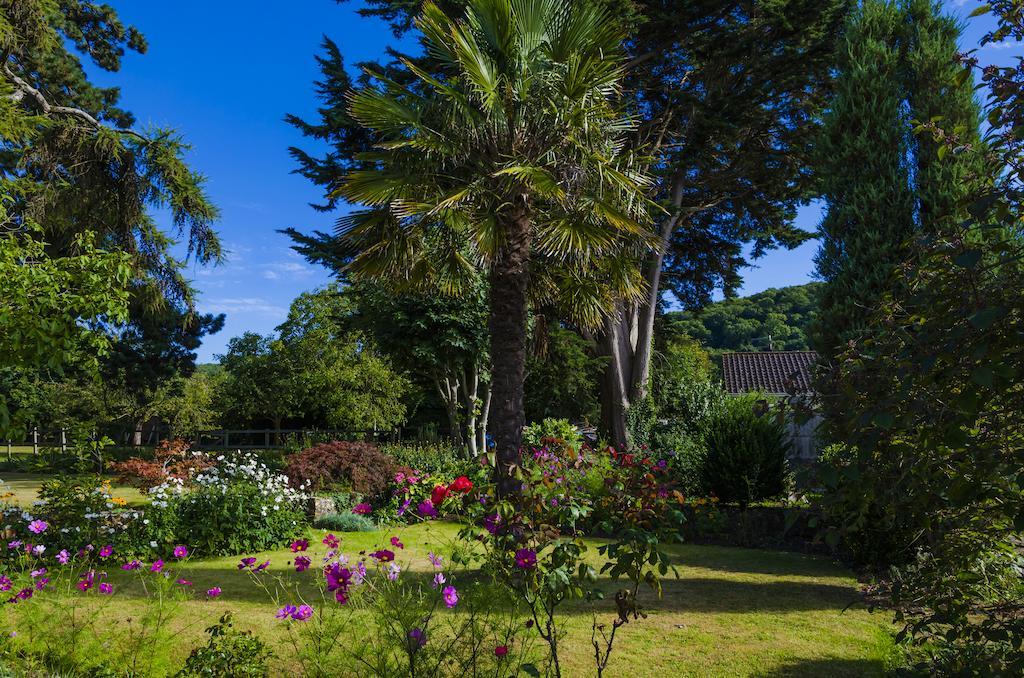 Moorlands Country Guest HouseHutton  エクステリア 写真